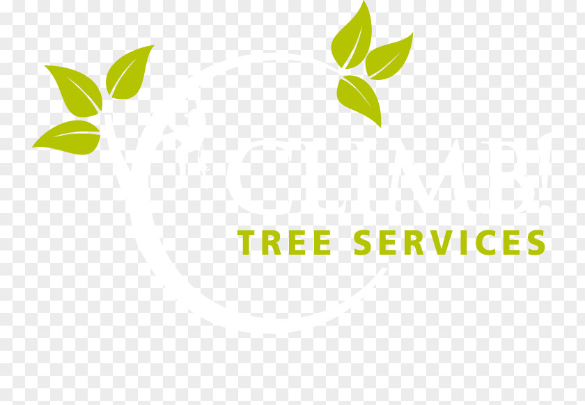 Leaf Logo Brand PNG
