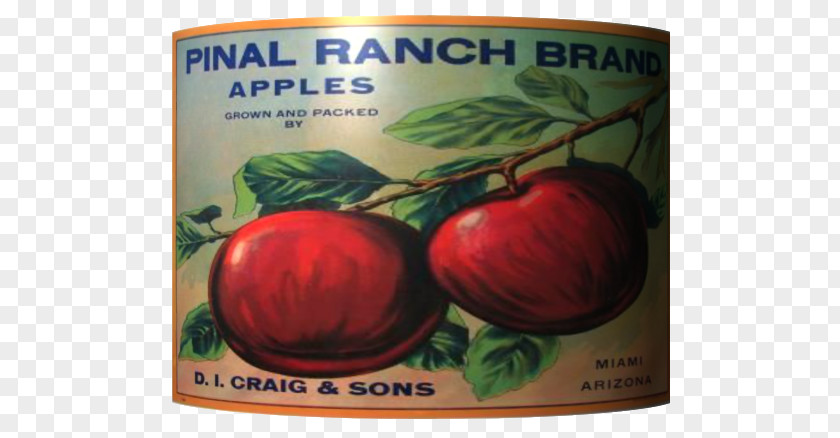 Mu0101nuka Honey Bush Tomato Natural Foods Apple PNG