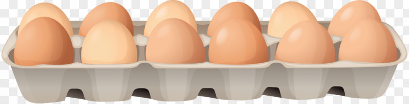 Container Eggs Chicken Egg Carton Clip Art PNG