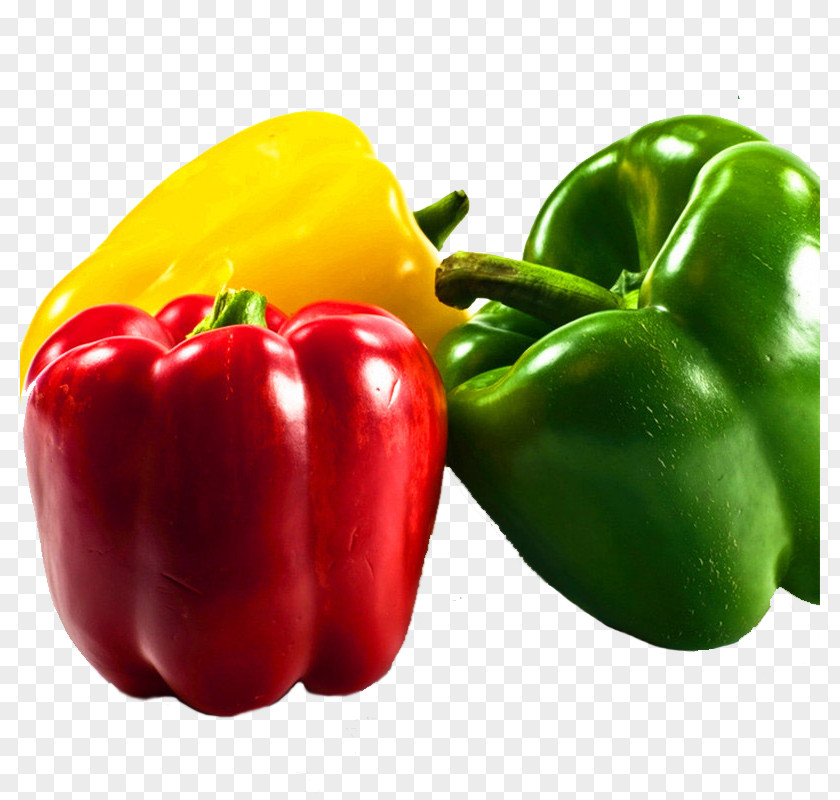 Multicolor Chili Pepper Vegetables Bell Fruit Pungency Spice PNG