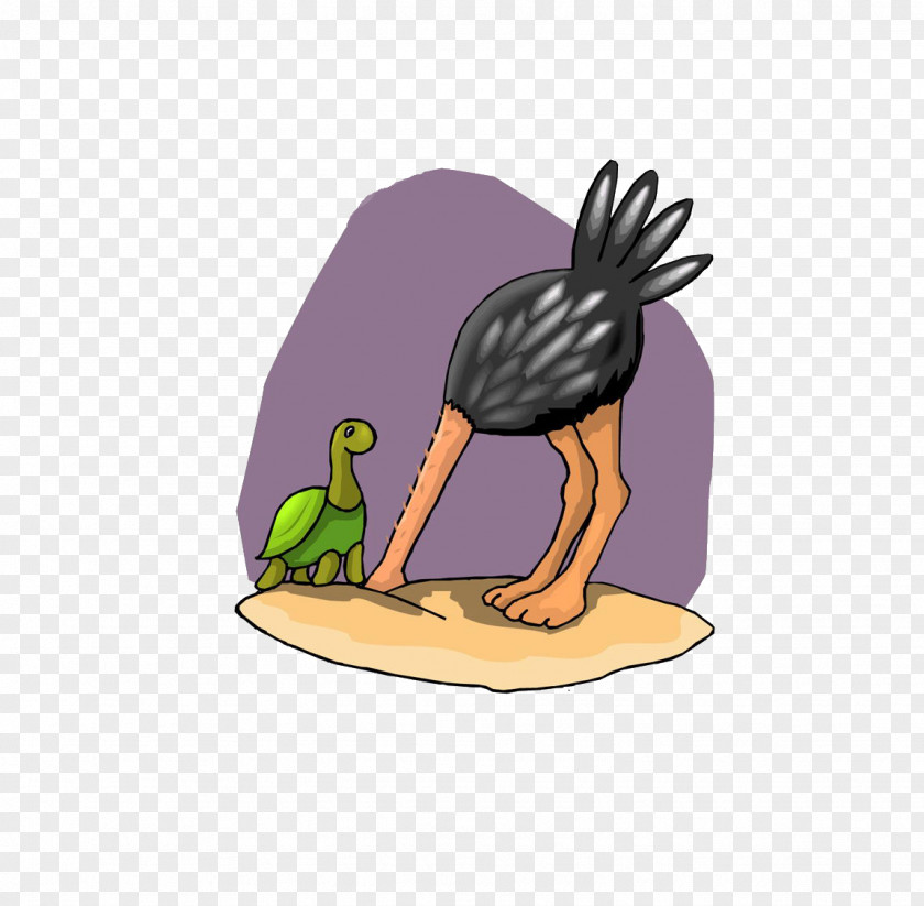 Ostrich Buried Duck Common Bird PNG
