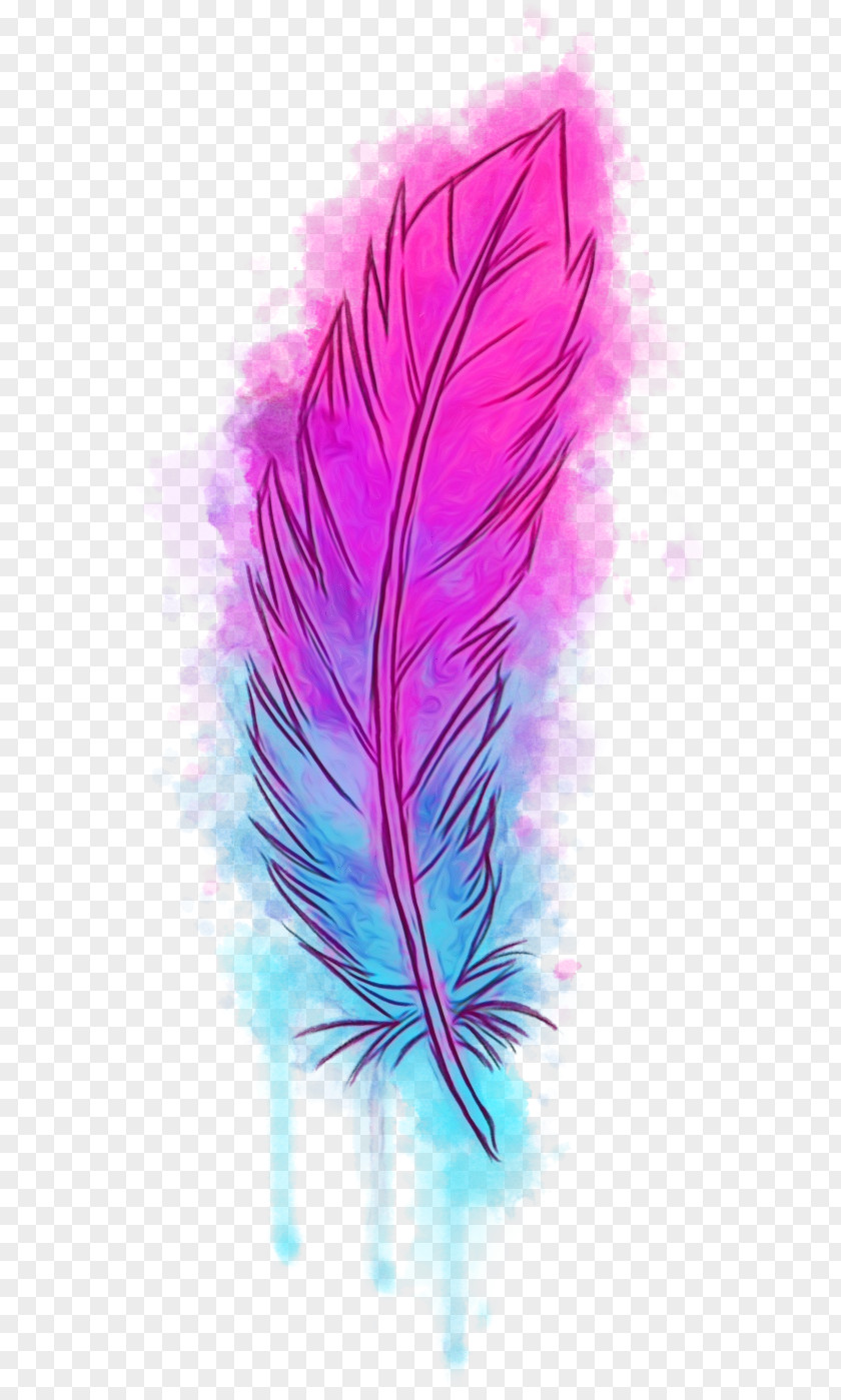Plant Fashion Accessory Feather PNG