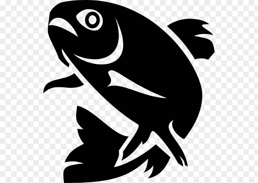 Rainbow Trout Clip Art PNG