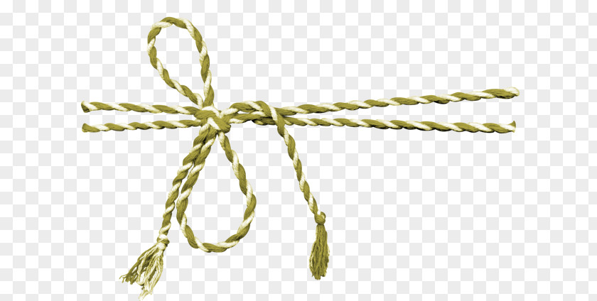 Rope Shoelace Knot Ribbon PNG