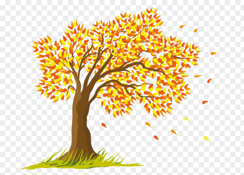 Rosin Vector Graphics Clip Art Illustration Royalty-free Autumn PNG