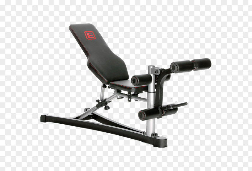 Bank Bench Exercise Equipment Weight Training PNG