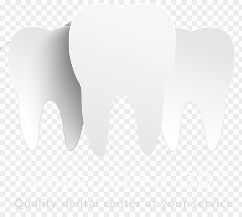 Design Tooth Elephantidae Font PNG