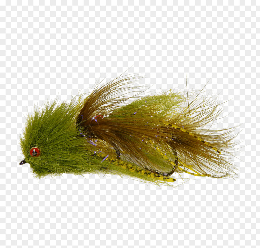 Flies Fly Fishing Streamer Woolly Bugger Muddler Minnow PNG
