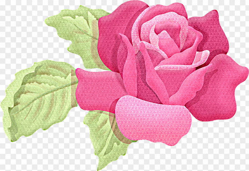 Garden Roses Drawing Clip Art PNG