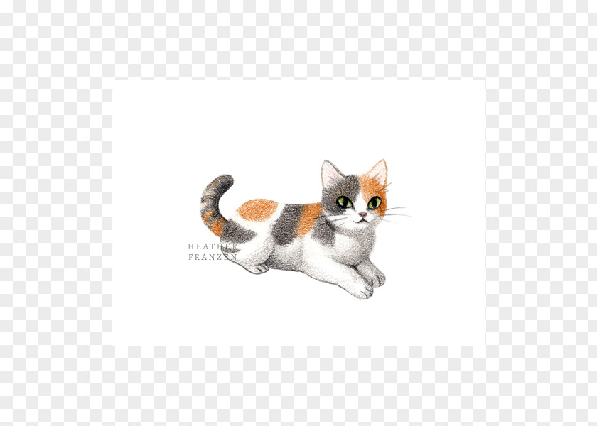 Kitten Whiskers American Wirehair Domestic Short-haired Cat Paw PNG