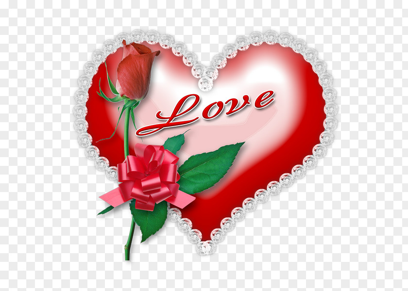 Plant Event Rose Love Flowers PNG