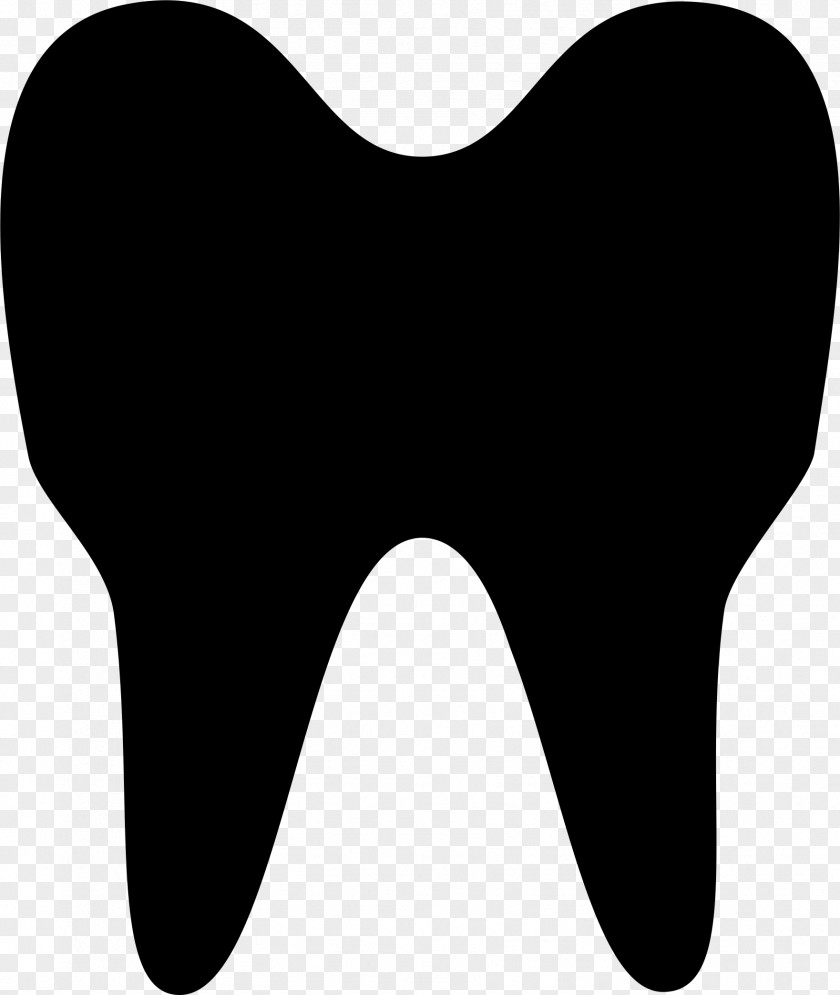 Symbol Dentistry Human Tooth Physician PNG