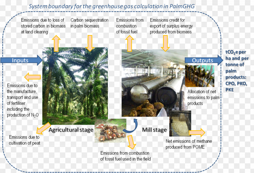 Chin Crops Greenhouse Gas Roundtable On Sustainable Palm Oil Sustainability PNG