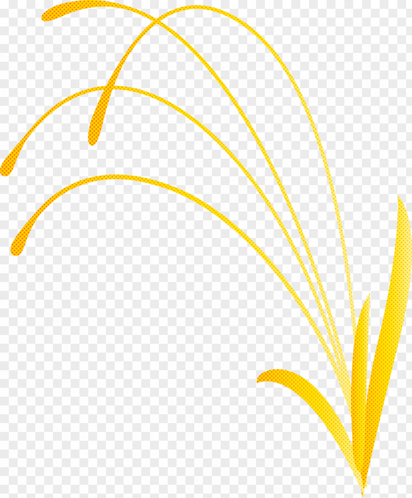 Flower Frame Decoration PNG