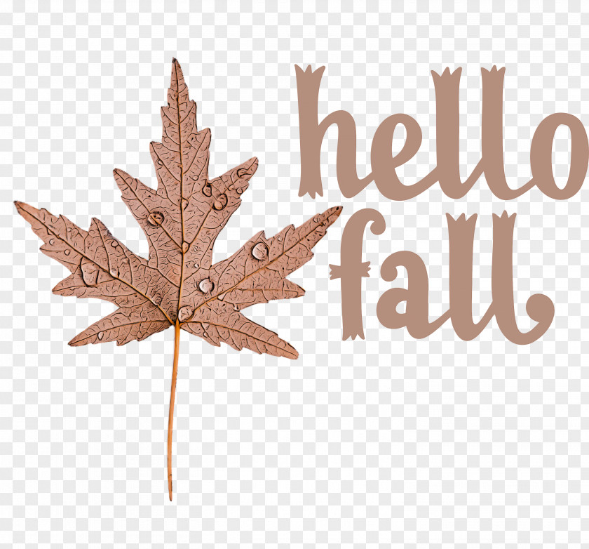 Hello Fall Fall Autumn PNG