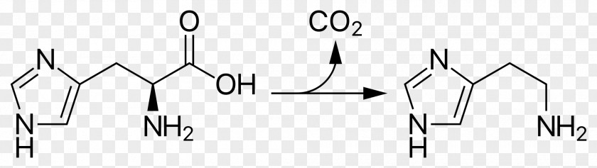 Histidine Decarboxylase Histamine Decarboxylation Tyrosine PNG