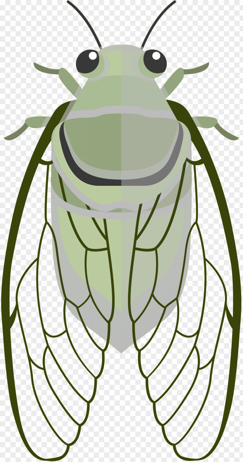 Insect Clip Art Bee Image Vector Graphics PNG