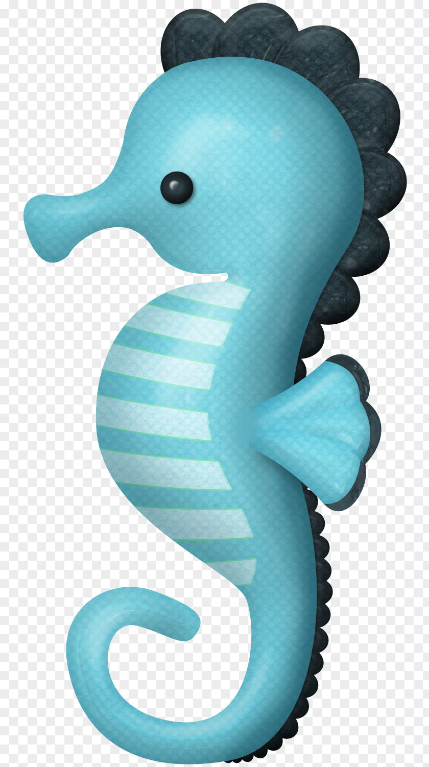 Material Seahorse Scrapbooking Clip Art PNG