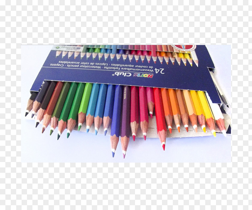 Pencil Colored Staedtler Watercolor Painting PNG