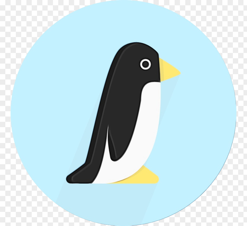 Penguin Clip Art Product Design Beak PNG