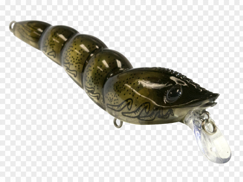 Fishing Lure Baits & Lures Bassmaster Classic Reptile PNG