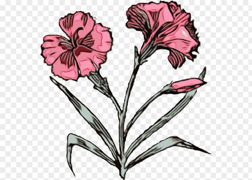 Pedicel Pink Flower Flowering Plant Petal PNG