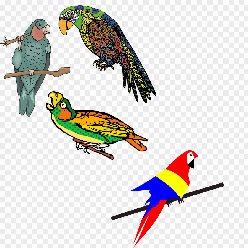 Colored Parrot Flock Of Birds Budgerigar Lovebird PNG