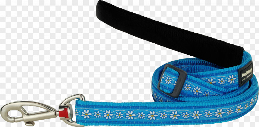 Dog Chain Leash Turquoise Red Daisy Pet PNG
