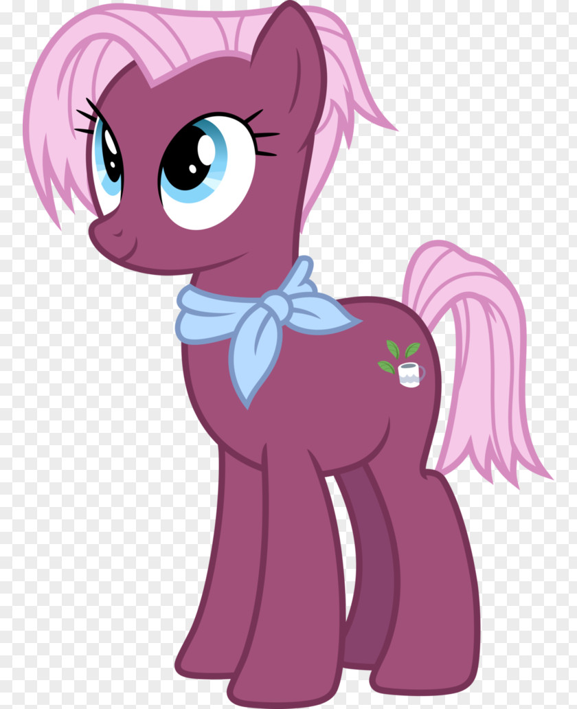 Pony Pinkie Pie Cheerilee Discordant Harmony PNG