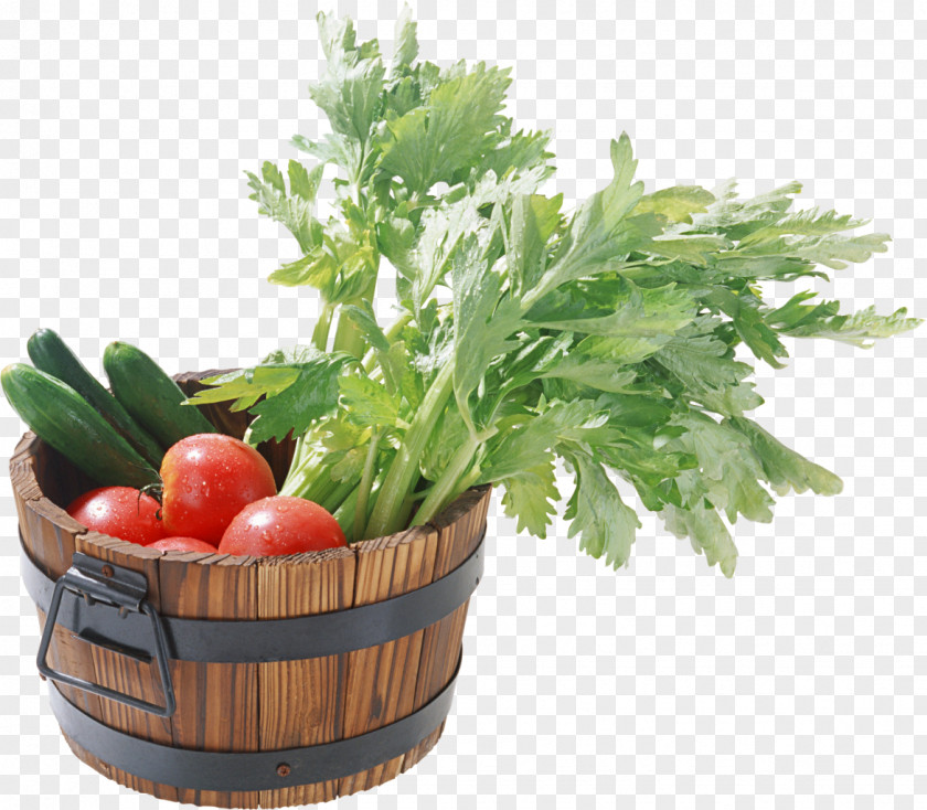 Tomato Vegetable Food Wild Celery Starch Fruit PNG