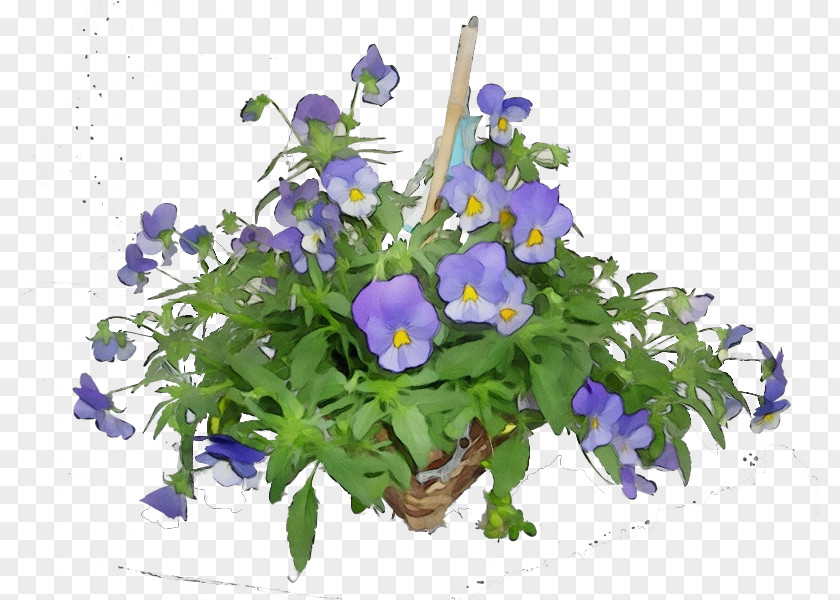 Gentian Family Dayflower Purple Watercolor Flower PNG