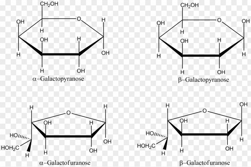 Lactose Galactose Haworth Projection Fischer Furanose Glucose PNG