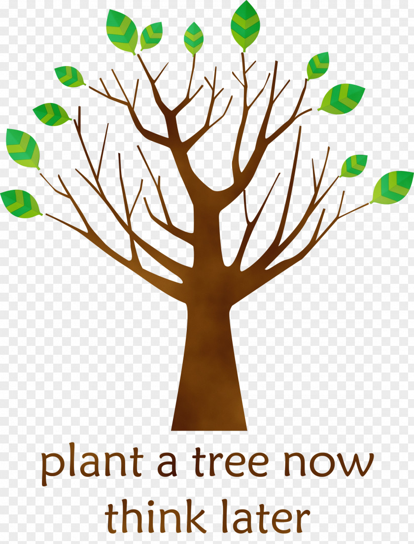 Tree Leaf Branch Broad-leaved Plant Stem PNG