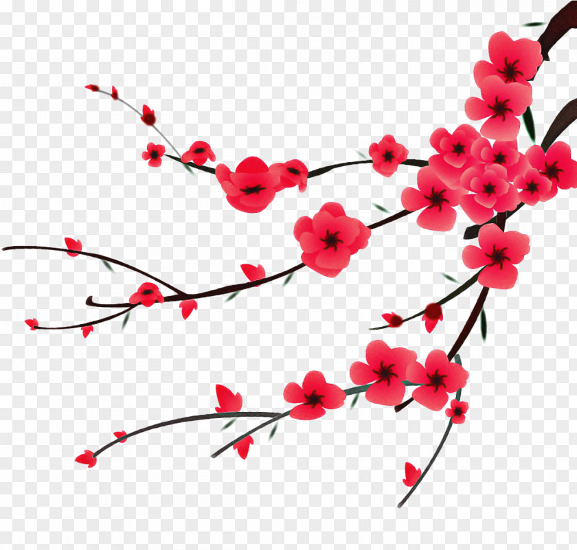 Twig Plant Cherry Blossom Cartoon PNG