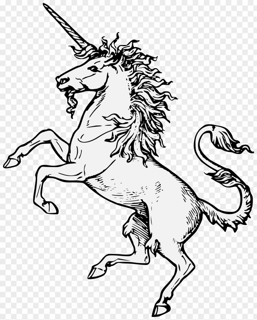Unicorn Head Scotland Heraldry Coat Of Arms Legendary Creature PNG