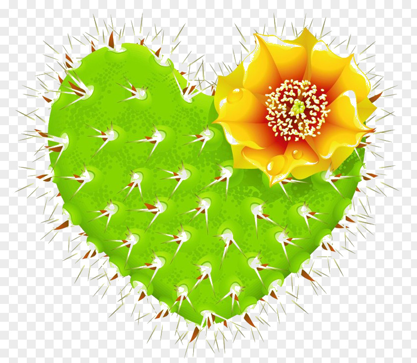 Cactus Love Barbary Fig Cactaceae Thorns, Spines, And Prickles Heart PNG