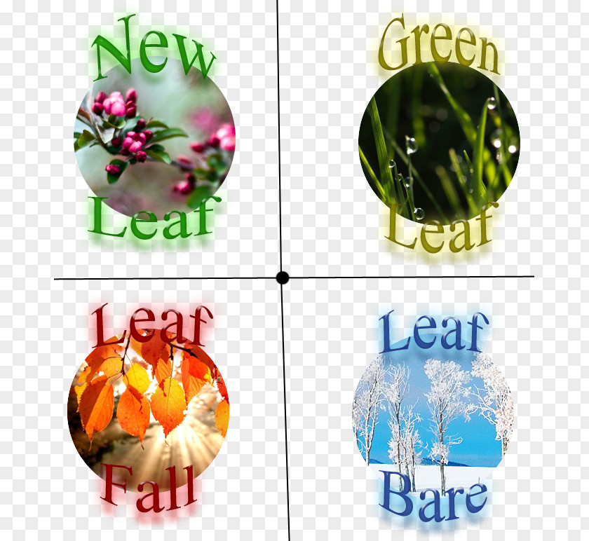 Leaf Christmas Ornament Douchegordijn Font PNG