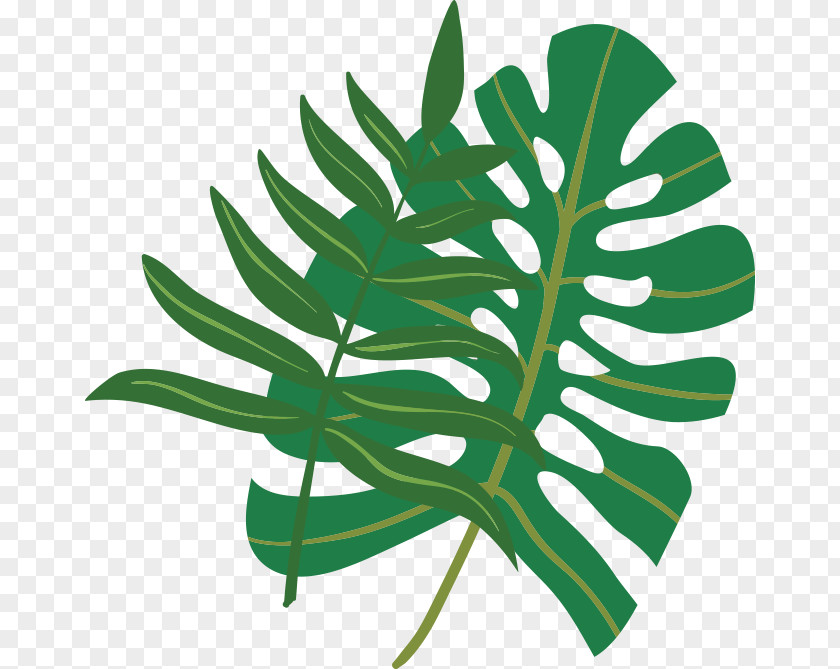 Plant Theme Food Leaf Gift Card Sherry Vinegar PNG