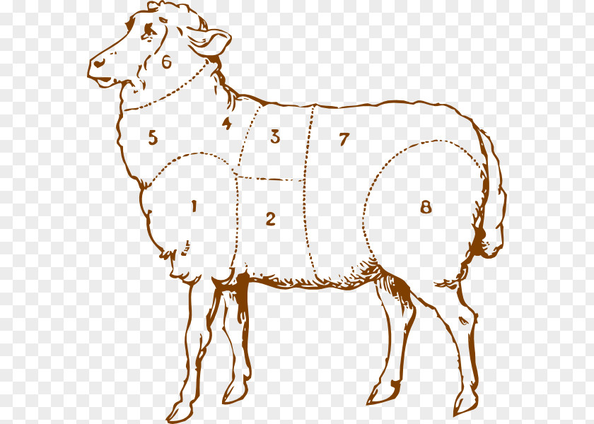 Sheep Black Goat Drawing Clip Art PNG
