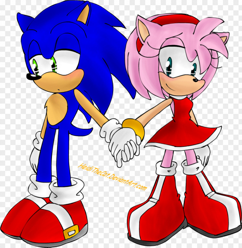 The Cat Hand Amy Rose Sonic Hedgehog & Knuckles Shadow Tails PNG