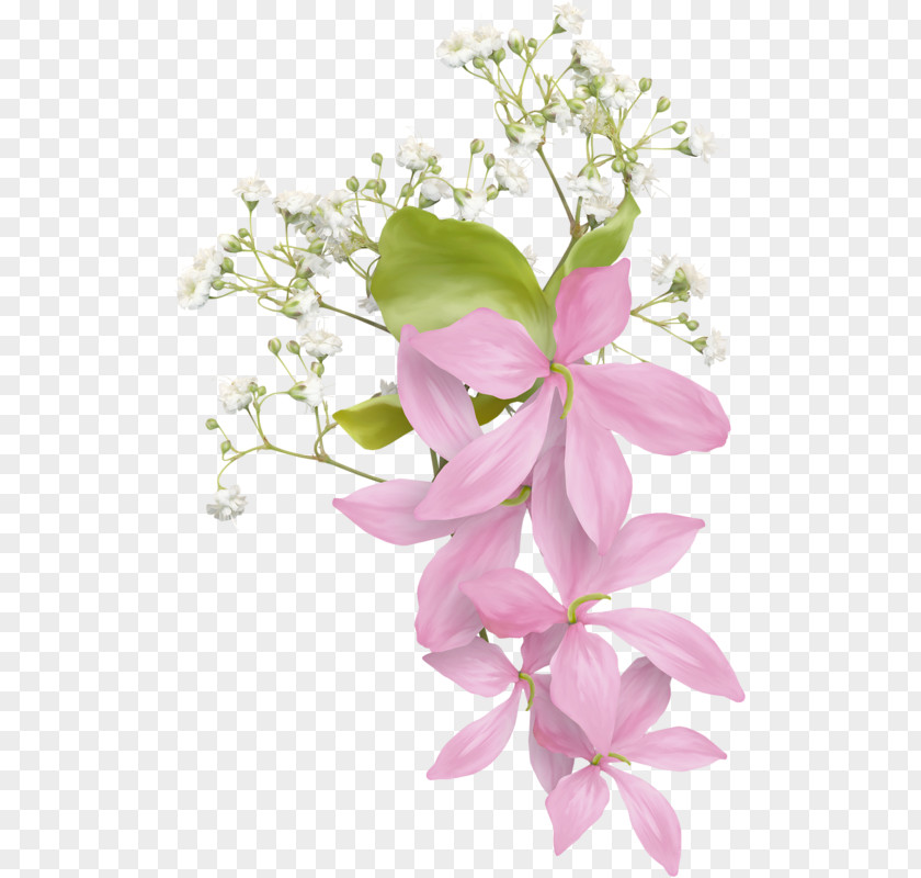 Flower Floral Design Bouquet Petal Clip Art PNG