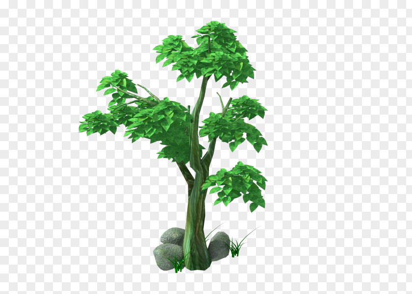Tree,Trees,wood,plant Green Flowerpot Leaf PNG