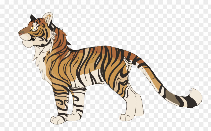Vector Cartoon Tiger Cat Siberian Drawing PNG