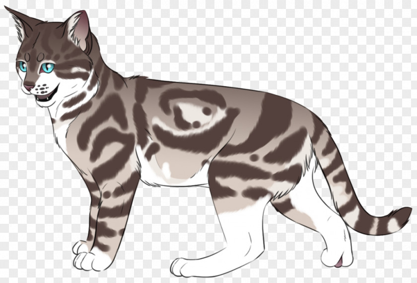 Cat Whiskers Wildcat Fur Terrestrial Animal PNG