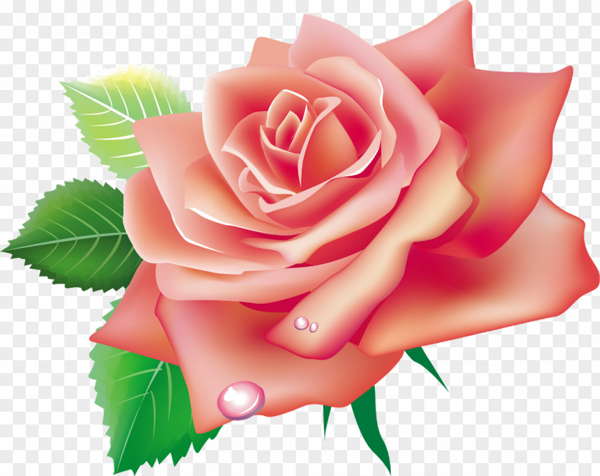 Rose Garden Roses Pink Flowers Clip Art PNG