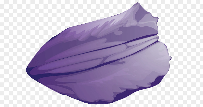 A Flower Petal Purple Rose PNG