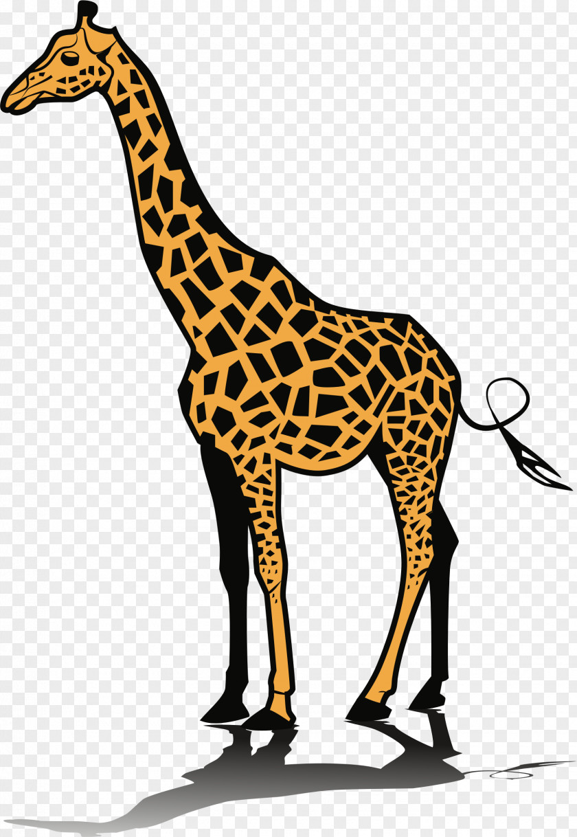 Giraffe Clip Art PNG