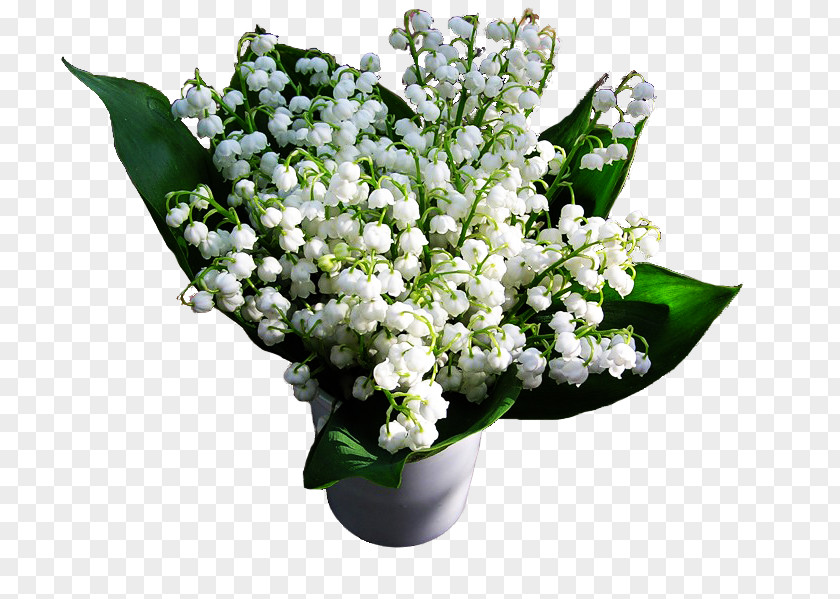 Lily Of The Valley Cut Flowers Floral Design Flower Bouquet PNG