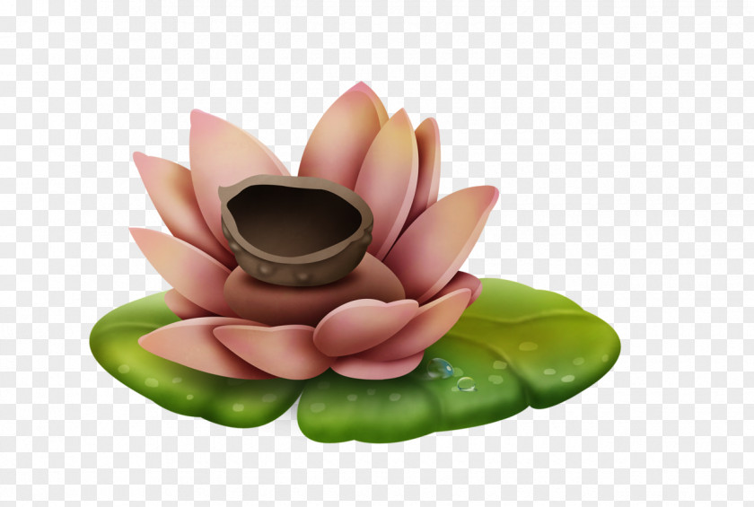 Lotus Seed Paste Nelumbo Nucifera RGB Color Model Petal PNG