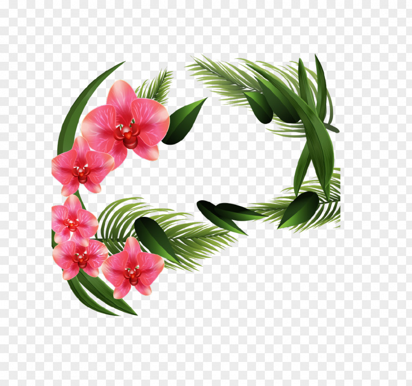 Orchid Vector Cut Flowers Orchids Plant PNG